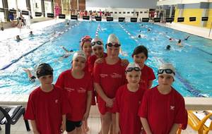 Compétition d'animation à Landerneau