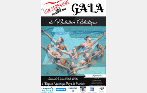 Appel aux Bénévoles pour l'organisation du Gala de Nat Synchro