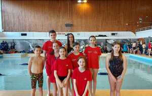 Yaouank Départemental plot n°2 Quimper