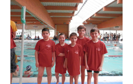 Coupe Départementale Poussins