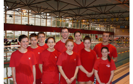 Meetin régional Open Brest 22 et 23 fèvrier 2014