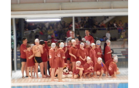 District 2  Morlaix 18 janvier 2014