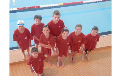 coupe départementale Poussins Quimper 18.05.2014