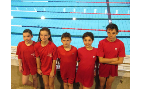 Natathlon  (2002 - 2003)  Brest 29.03.2015